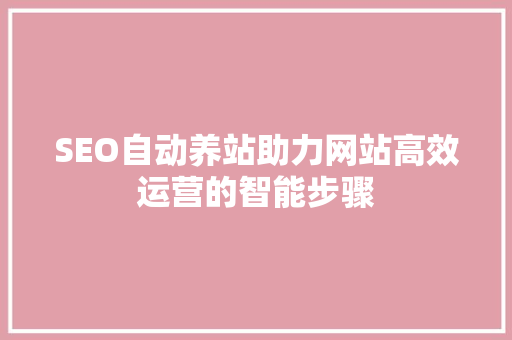 SEO自动养站助力网站高效运营的智能步骤