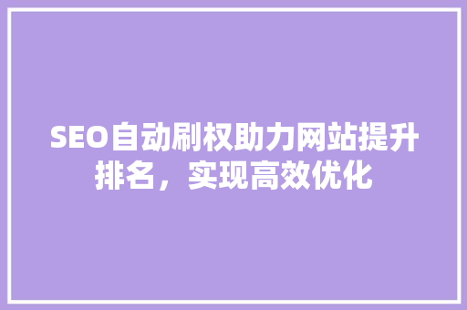 SEO自动刷权助力网站提升排名，实现高效优化