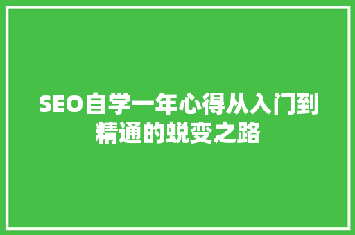 SEO自学一年心得从入门到精通的蜕变之路