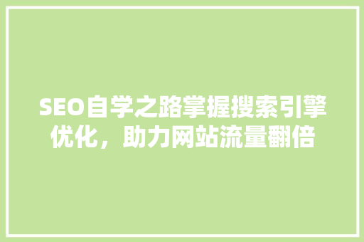 SEO自学之路掌握搜索引擎优化，助力网站流量翻倍