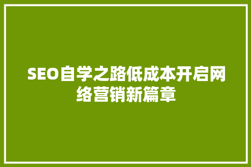 SEO自学之路低成本开启网络营销新篇章