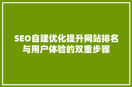 SEO自建优化提升网站排名与用户体验的双重步骤