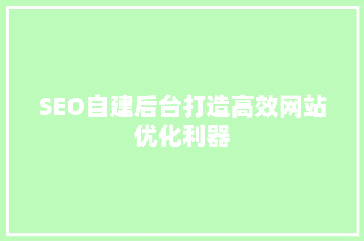 SEO自建后台打造高效网站优化利器