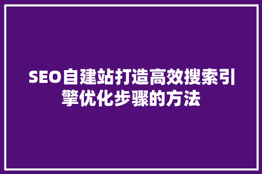 SEO自建站打造高效搜索引擎优化步骤的方法