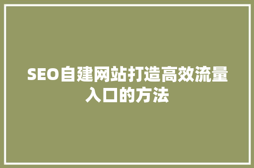 SEO自建网站打造高效流量入口的方法