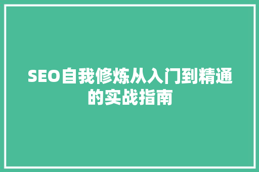 SEO自我修炼从入门到精通的实战指南