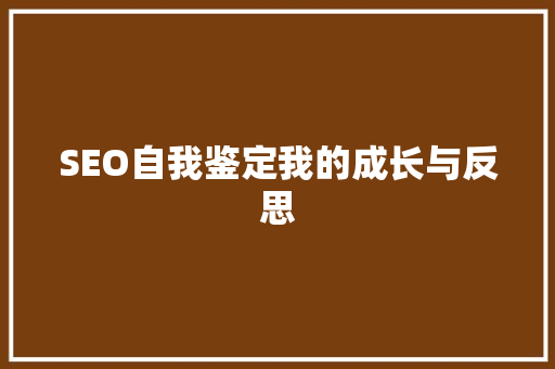 SEO自我鉴定我的成长与反思