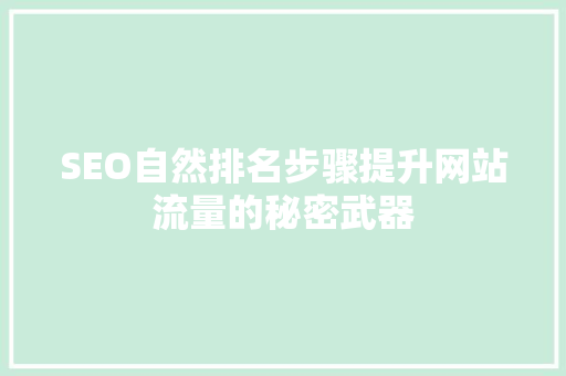 SEO自然排名步骤提升网站流量的秘密武器