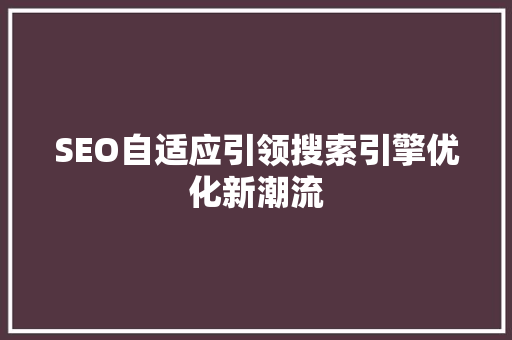 SEO自适应引领搜索引擎优化新潮流