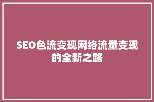 SEO色流变现网络流量变现的全新之路