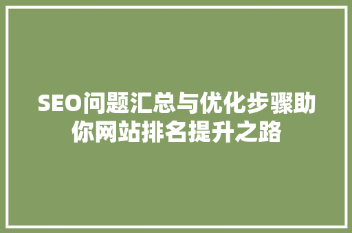 SEO问题汇总与优化步骤助你网站排名提升之路