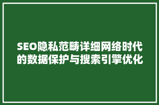 SEO隐私范畴详细网络时代的数据保护与搜索引擎优化