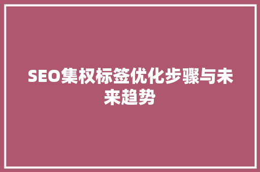 SEO集权标签优化步骤与未来趋势