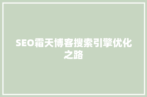 SEO霜天博客搜索引擎优化之路