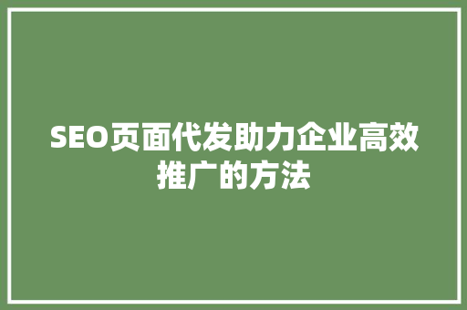 SEO页面代发助力企业高效推广的方法