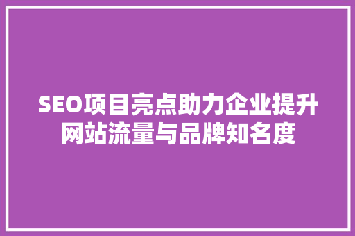 SEO项目亮点助力企业提升网站流量与品牌知名度