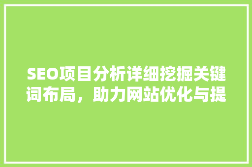 SEO项目分析详细挖掘关键词布局，助力网站优化与提升