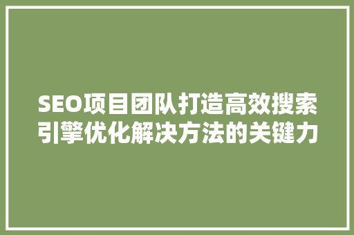 SEO项目团队打造高效搜索引擎优化解决方法的关键力量