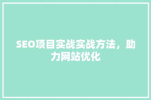 SEO项目实战实战方法，助力网站优化