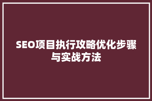 SEO项目执行攻略优化步骤与实战方法