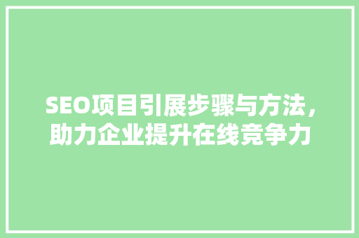 SEO项目引展步骤与方法，助力企业提升在线竞争力