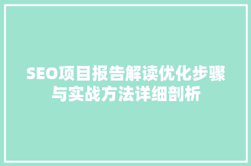 SEO项目报告解读优化步骤与实战方法详细剖析