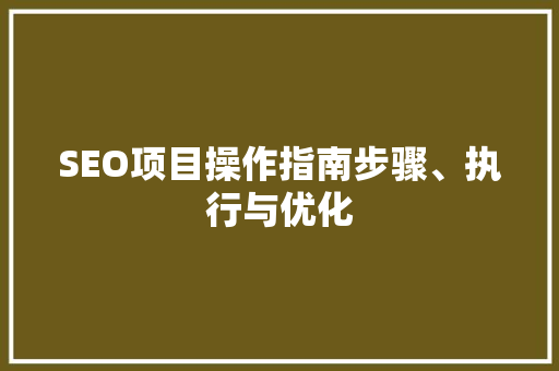 SEO项目操作指南步骤、执行与优化