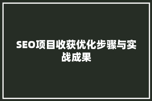 SEO项目收获优化步骤与实战成果