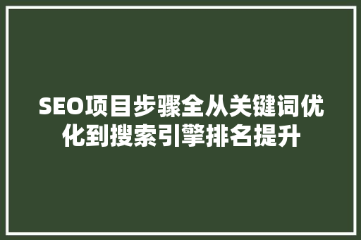 SEO项目步骤全从关键词优化到搜索引擎排名提升