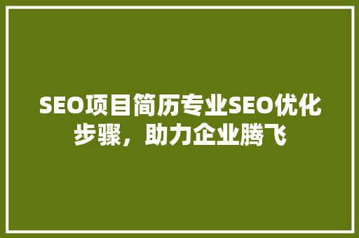 SEO项目简历专业SEO优化步骤，助力企业腾飞