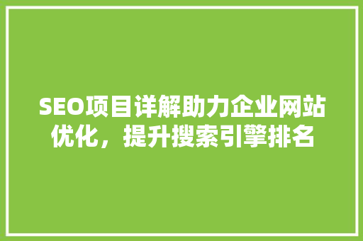 SEO项目详解助力企业网站优化，提升搜索引擎排名