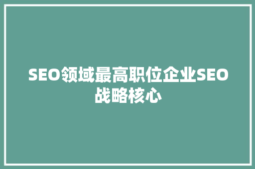 SEO领域最高职位企业SEO战略核心