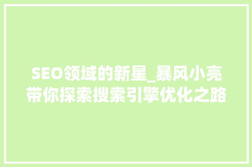 SEO领域的新星_暴风小亮带你探索搜索引擎优化之路