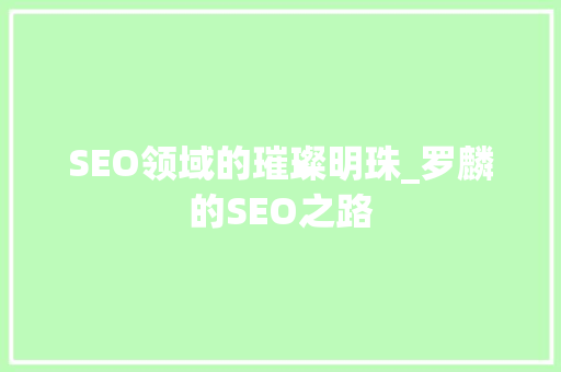 SEO领域的璀璨明珠_罗麟的SEO之路