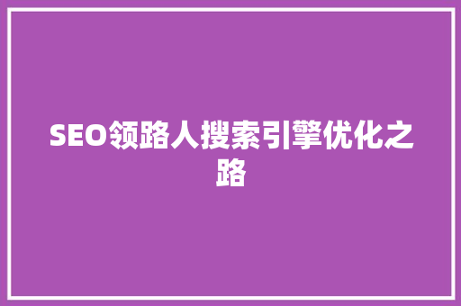 SEO领路人搜索引擎优化之路