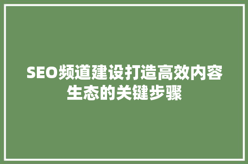 SEO频道建设打造高效内容生态的关键步骤