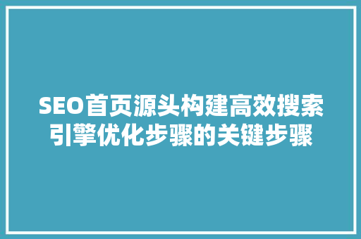 SEO首页源头构建高效搜索引擎优化步骤的关键步骤