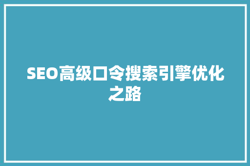 SEO高级口令搜索引擎优化之路