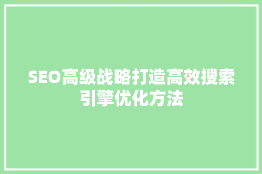 SEO高级战略打造高效搜索引擎优化方法