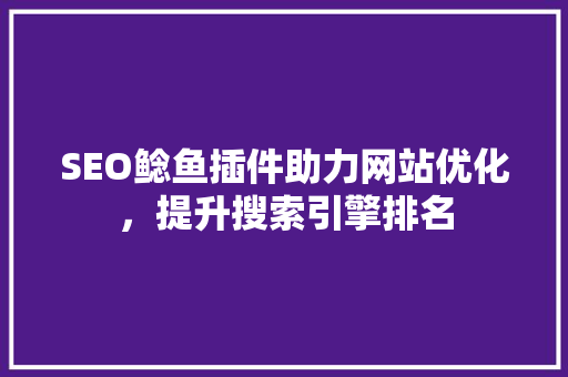 SEO鲶鱼插件助力网站优化，提升搜索引擎排名