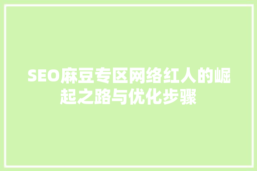 SEO麻豆专区网络红人的崛起之路与优化步骤