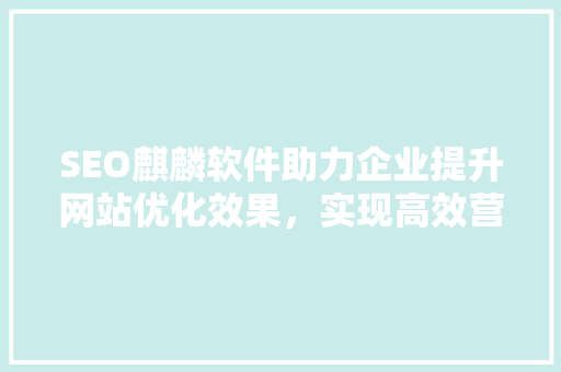 SEO麒麟软件助力企业提升网站优化效果，实现高效营销