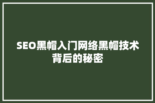 SEO黑帽入门网络黑帽技术背后的秘密