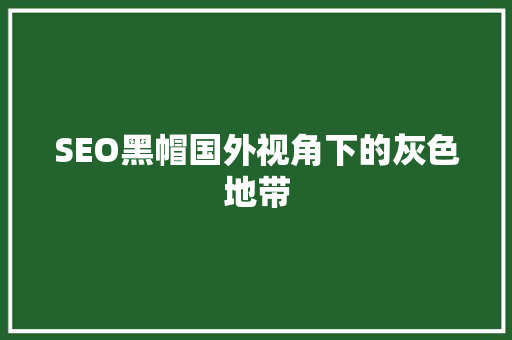 SEO黑帽国外视角下的灰色地带