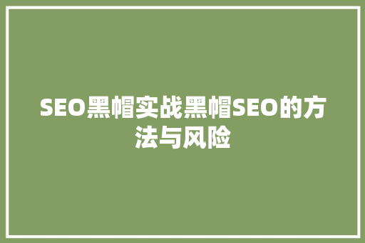 SEO黑帽实战黑帽SEO的方法与风险