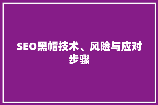 SEO黑帽技术、风险与应对步骤