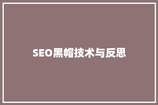 SEO黑帽技术与反思