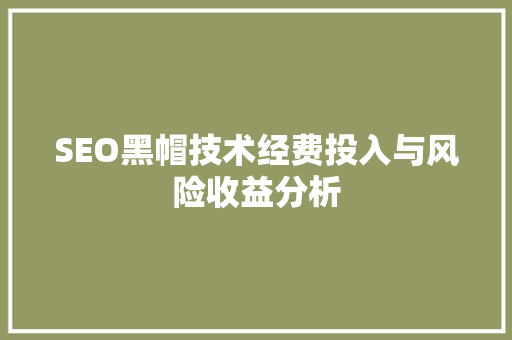 SEO黑帽技术经费投入与风险收益分析