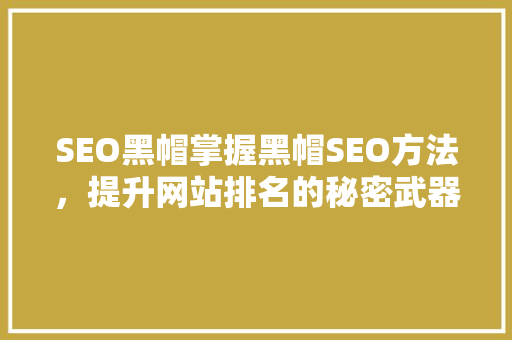 SEO黑帽掌握黑帽SEO方法，提升网站排名的秘密武器