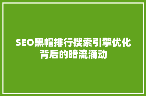 SEO黑帽排行搜索引擎优化背后的暗流涌动